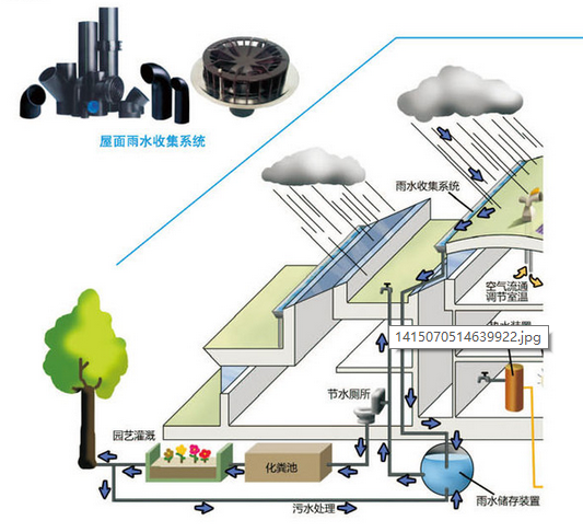 雨水收集