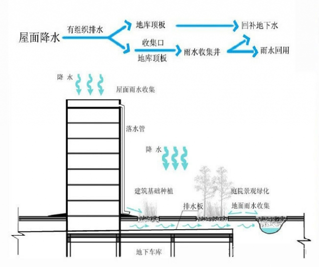 雨水收集