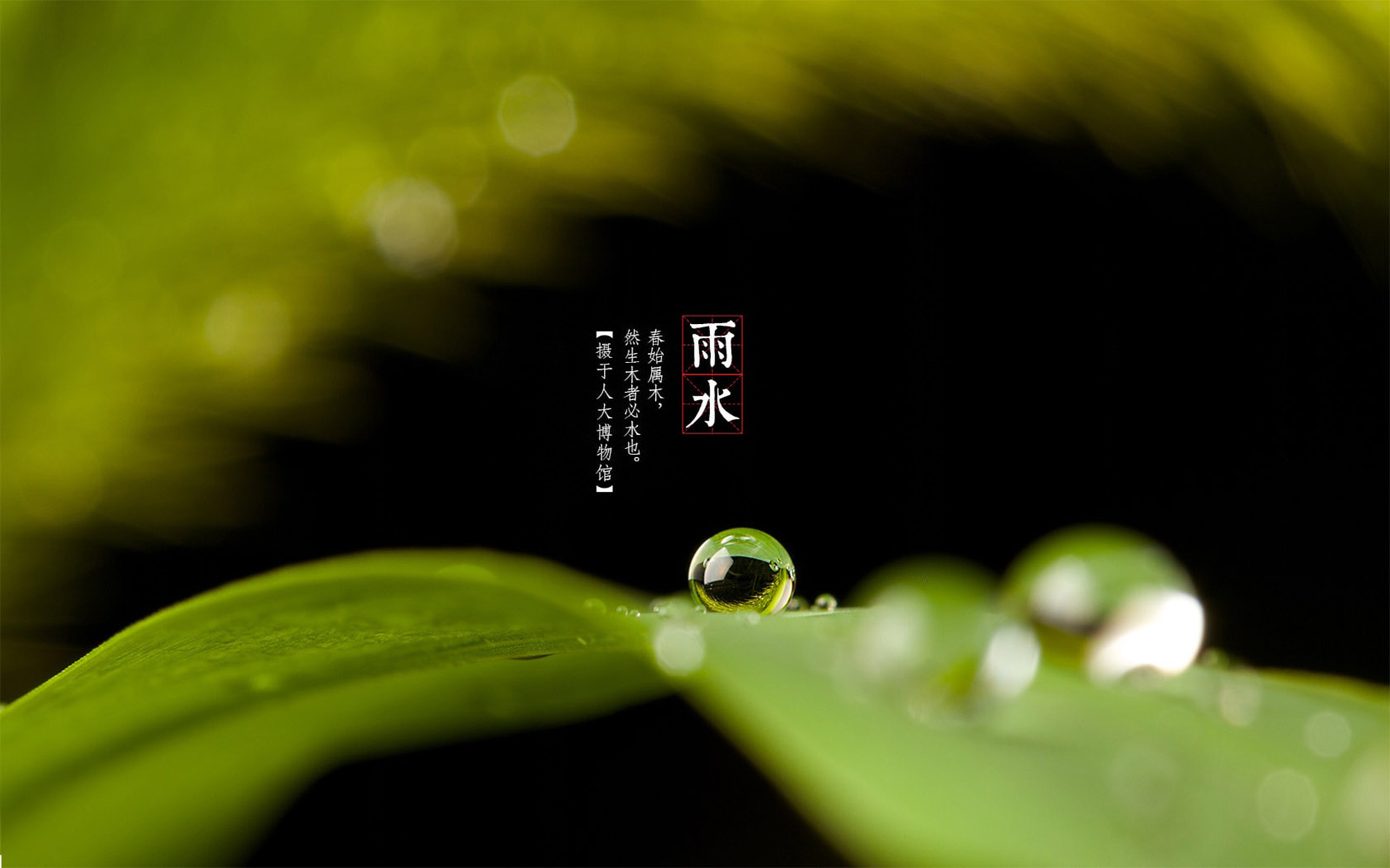 雨水收集